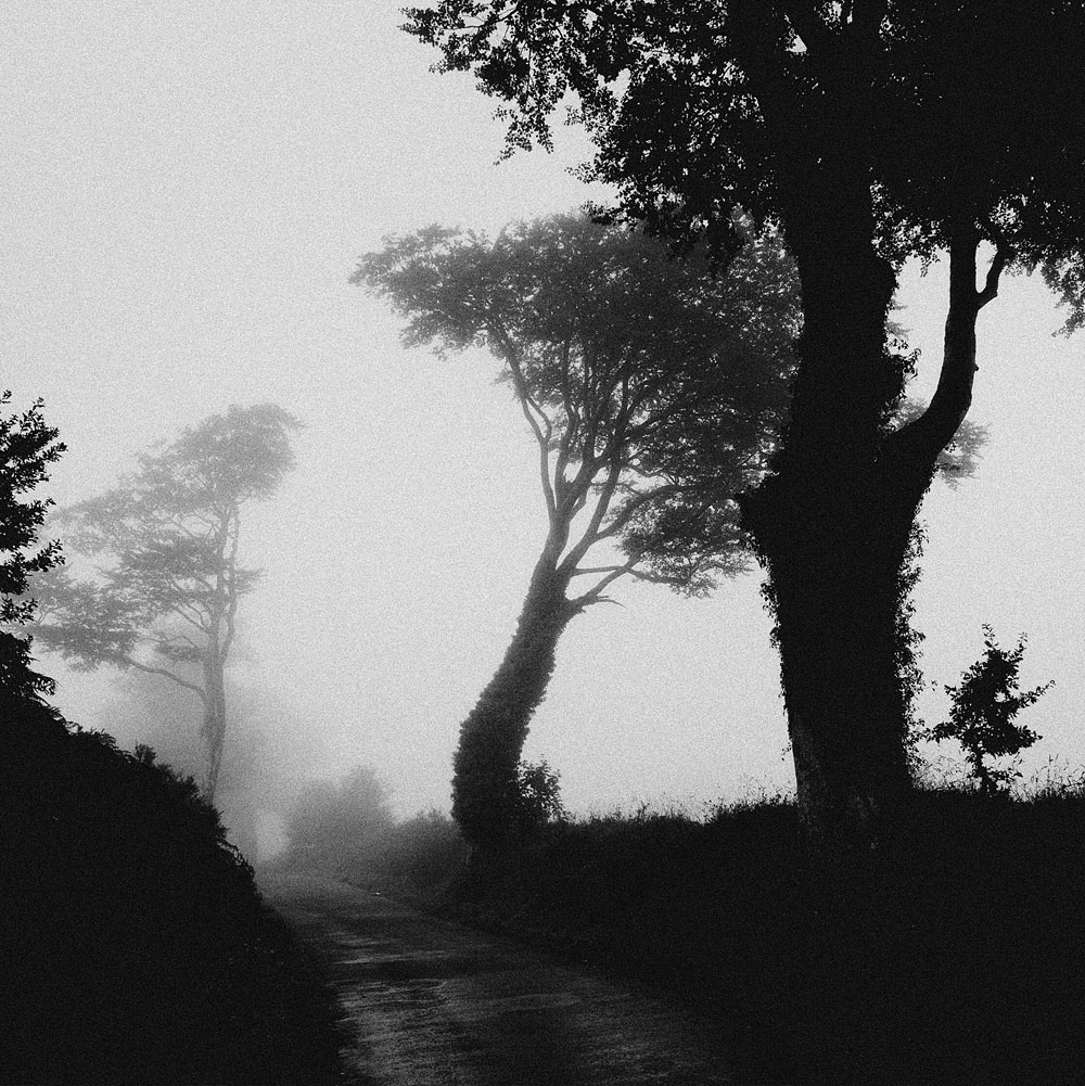 Monts d'Arrée sous la brume